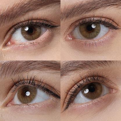 OCHRE